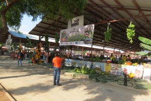 FEIRA-AGRO (2)