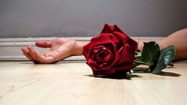 388070_9c85e4af298b409fa7a1db6a818c8bbb~mv2