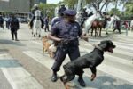 FOI APROVADO PELA ASSEMBLEIA NACIONAL: Condecorações e Distinções da Polícia Nacional vai abranger Cães e Cavalos