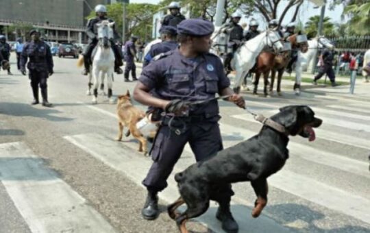 FOI APROVADO PELA ASSEMBLEIA NACIONAL: Condecorações e Distinções da Polícia Nacional vai abranger Cães e Cavalos