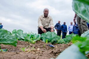 FB_IMG_1763481639897