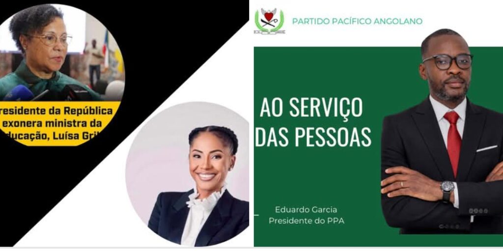 Presidente do PPA afirma que exonerações e nomeações no Ministério da Educação não resolvem problemas estruturais do sector