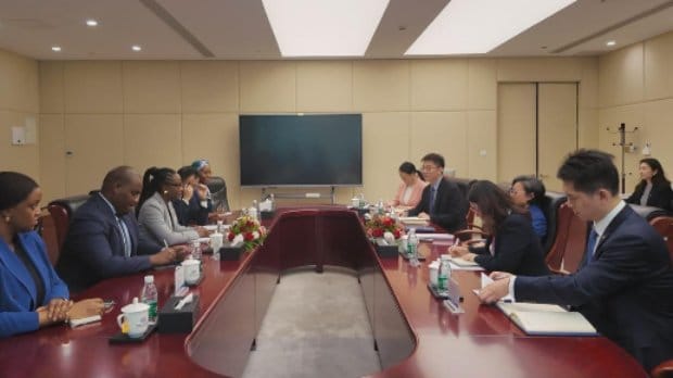 Promover o comércio e diversificar a economia entre os pontos-chave da visita de Vera Daves à China