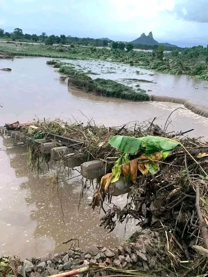 FB_IMG_1776088643338