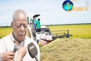 SÃO MAIS DE DUAS MIL TONELADAS: dificuldade na comercialização de arroz no Luquembo e em Cambundi catembo preocupa governador de Malanje