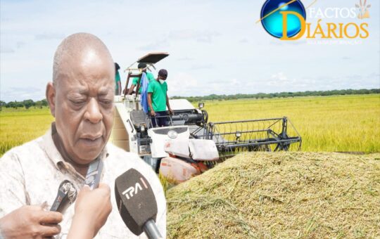 SÃO MAIS DE DUAS MIL TONELADAS: dificuldade na comercialização de arroz no Luquembo e em Cambundi catembo preocupa governador de Malanje