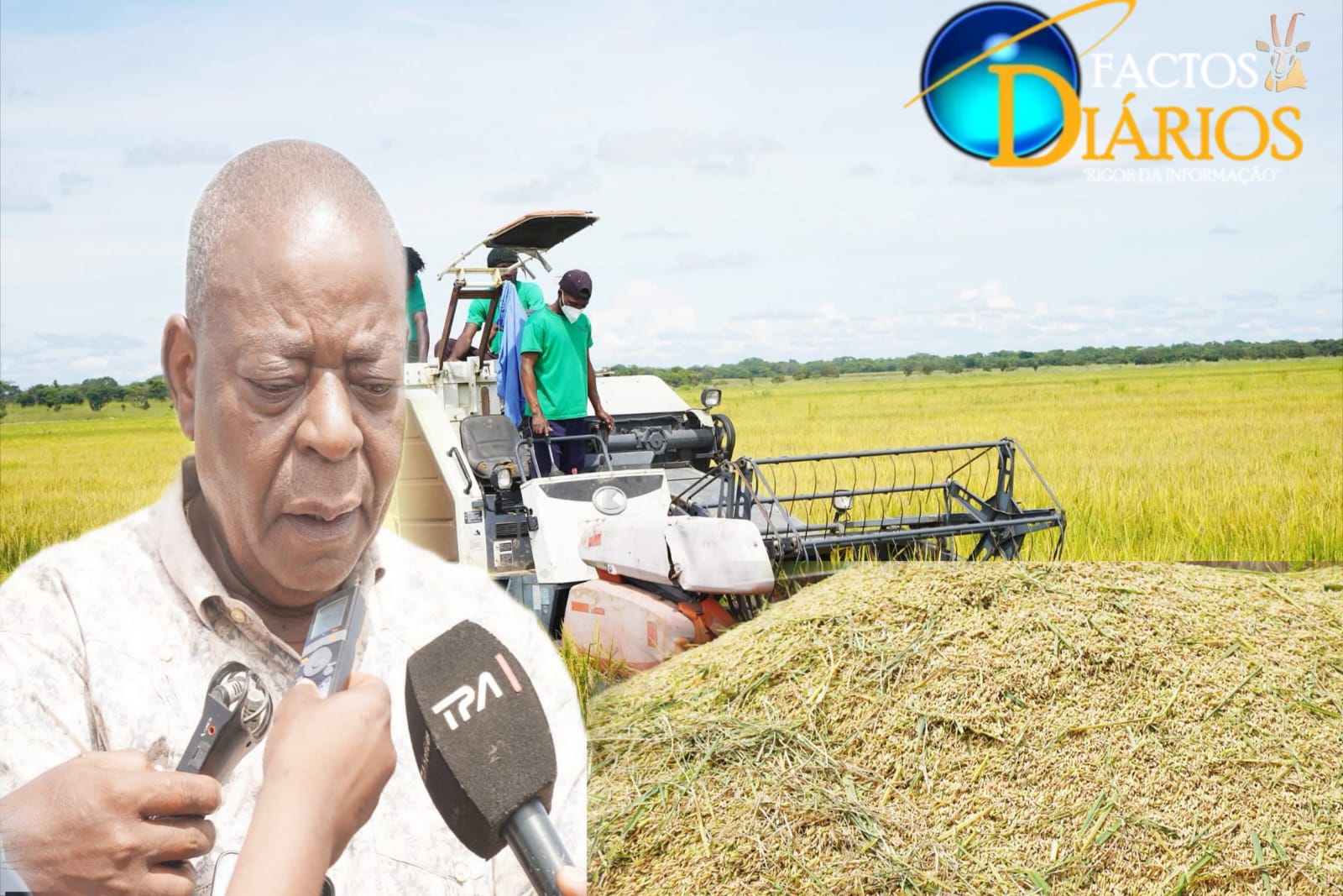 SÃO MAIS DE DUAS MIL TONELADAS: dificuldade na comercialização de arroz no Luquembo e em Cambundi catembo preocupa governador de Malanje