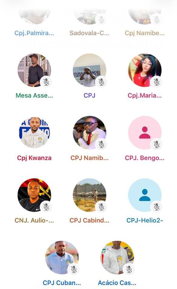 Candidatos à liderança dos 21 Conselhos Provinciais de Juventude serão eleitos de 5 a 20 de Setembro