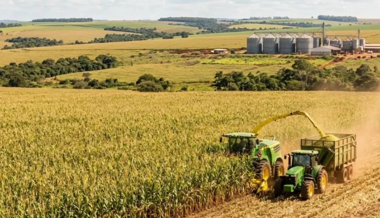 Grupo OMATAPALO apresenta escala e potencial produtivo das Fazendas Mumba e Quiminha na Agritech Show