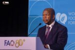 ANGOLA LEVA A ROMA EXPERIÊNCIA NACIONAL NO COMBATE À FOME E DEFENDE NOVA COOPERAÇÃO PARA SEGURANÇA ALIMENTAR